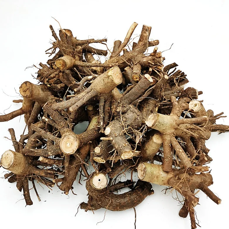 Китай pao tong гибридная доска из массива дерева для выращивания корней paulownia FTE изготовления мебели и ландшафтного дизайна