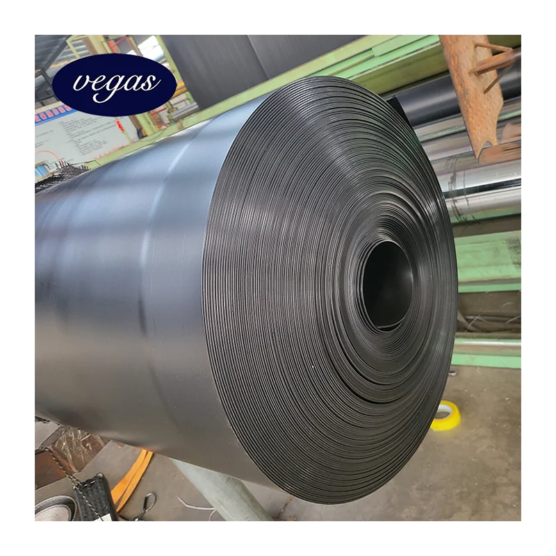 HDPE Geomembrane Factory Price 500micron 1000 1500 micron Damliner Smooth Polyethylene Pond Liner for Sale