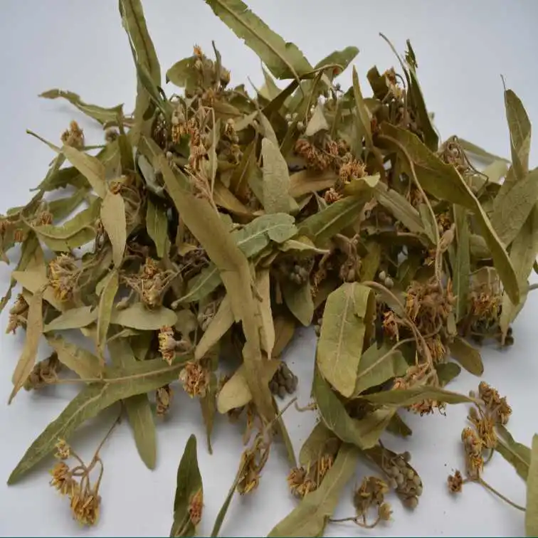 
Linden-leaf flower for herb tea material 