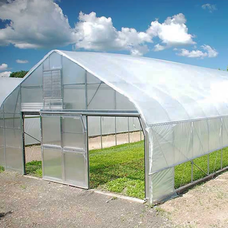 Hot Galvanized Steel Frame Agricultural Single Span PE/PO Film Plastic Tunnel Greenhouse For Tomato Vegetables Growing