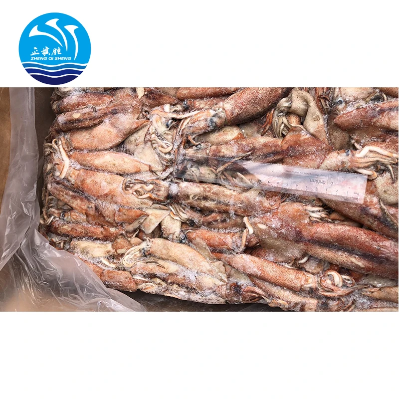 Горячая Распродажа замороженных Западно-африканских кальмаров