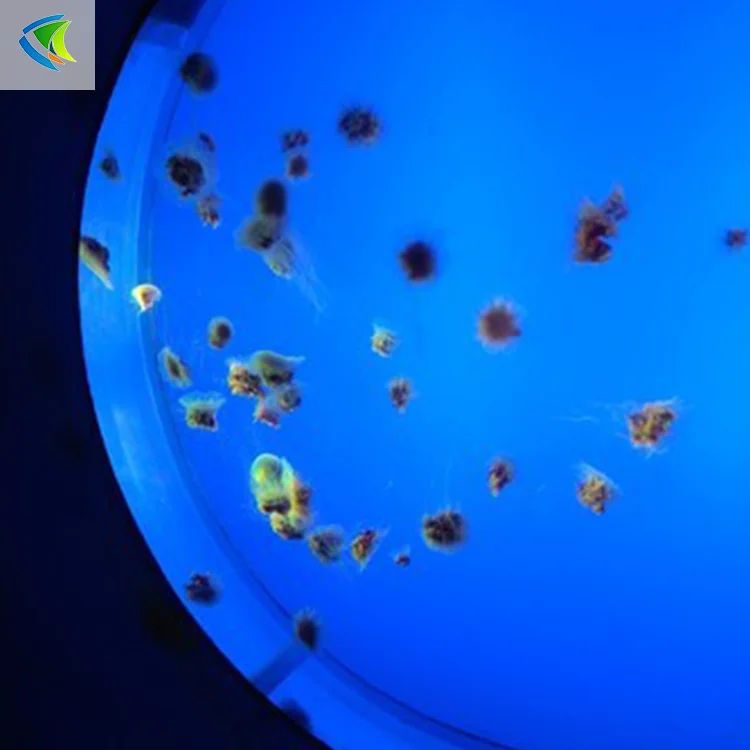 black and white acrylic jellyfish tank moonlight jellyfish aquarium import material  100%