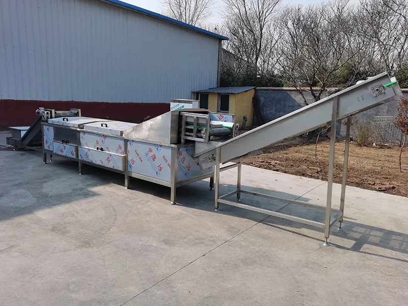 industrial commercial yam blanching hazelnut machine for sale