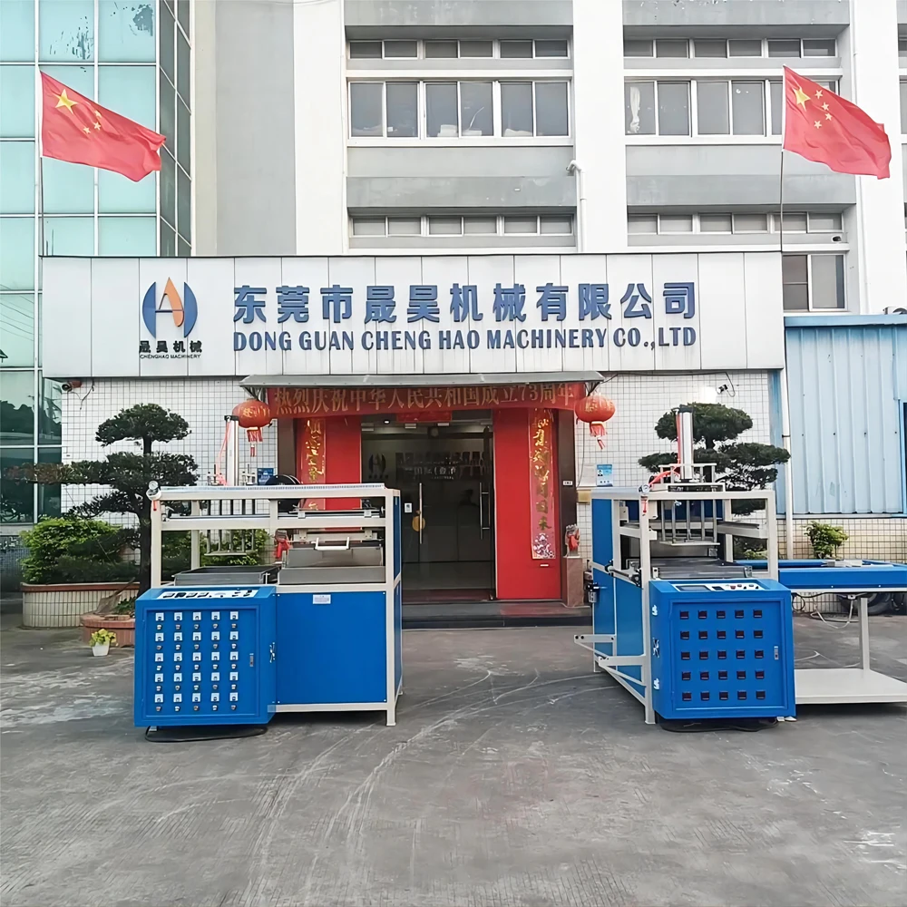 Vacuum Thermoforming Machine Abs Fruit Container Thermoforming Machine