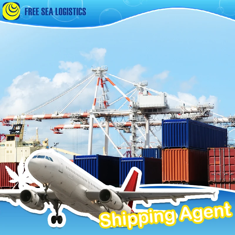 International Door To Door Air Cargo Ddp Shipping To Saudi Arabia UAE From Shenzhen Freight Forwarder