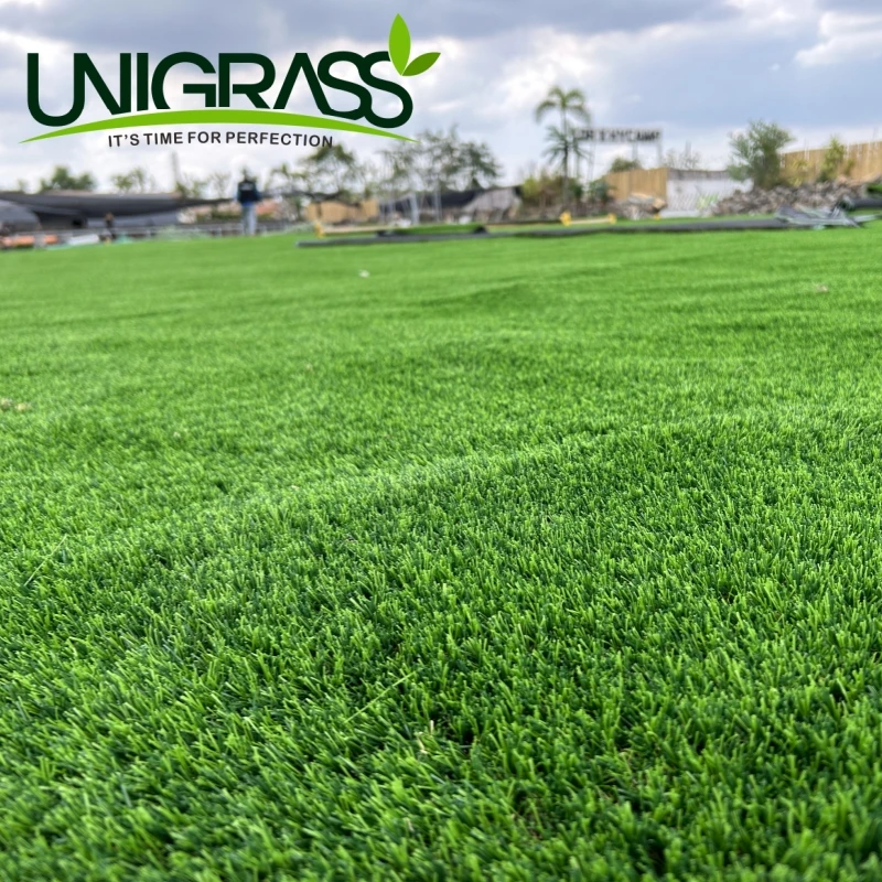 Uni Carpet Small Garden Landscape Turf Gym Artificial Grass Roll Green Rug Cesped Grass Carpet Decoration Floor Synthetic Carpet