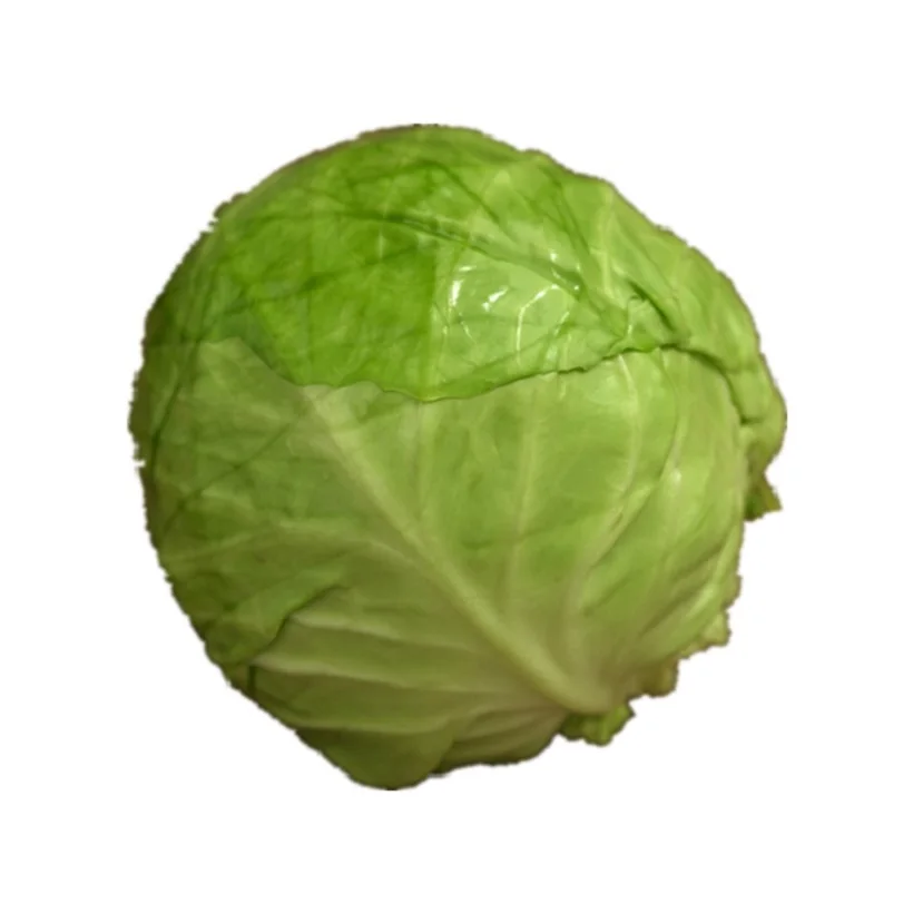 Factory Outlet High Quality in Bulk Brands Cabbage with HCCP Certification