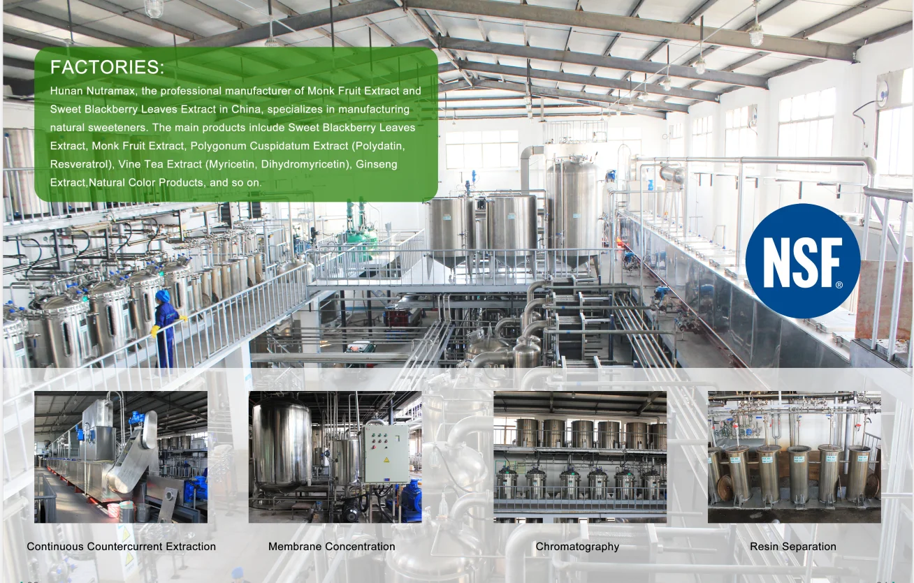 Polysaccharide Plant Extract Chinese Date with Free