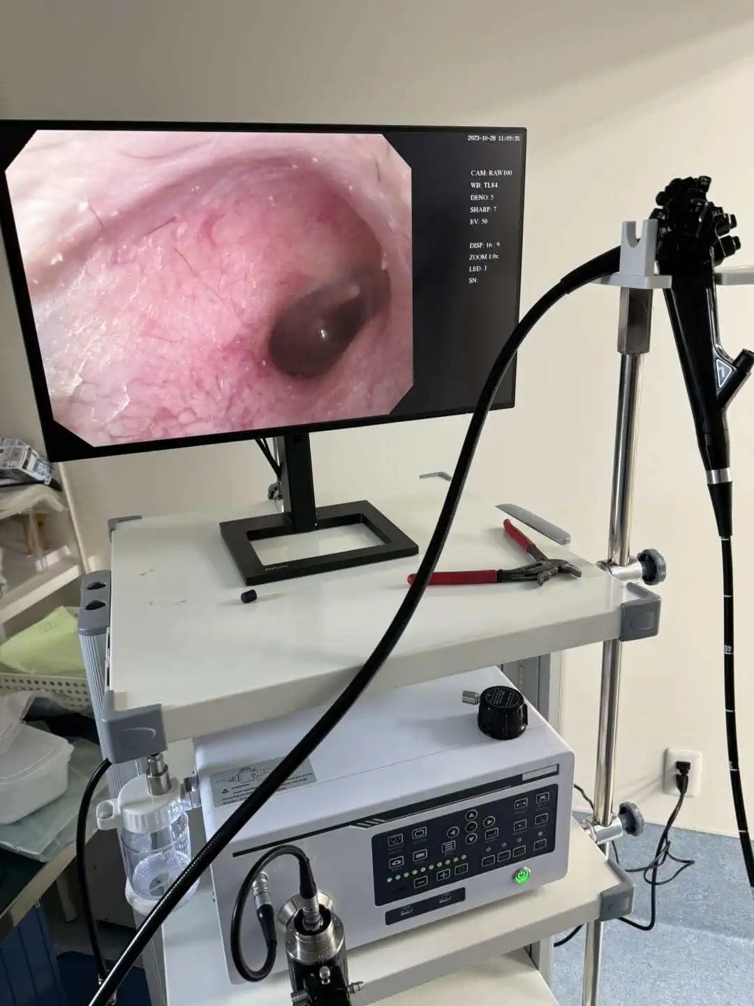 EUR PET High Quality Veterinary Equipment Prime Veterinary Flexible Endoscope Gastroscope Camera For Pet