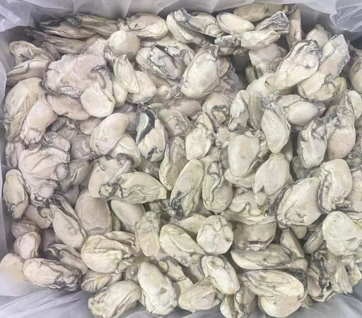 Новый сезон замороженные устричные мясные скорлупы приготовленные продукты премиум-класса