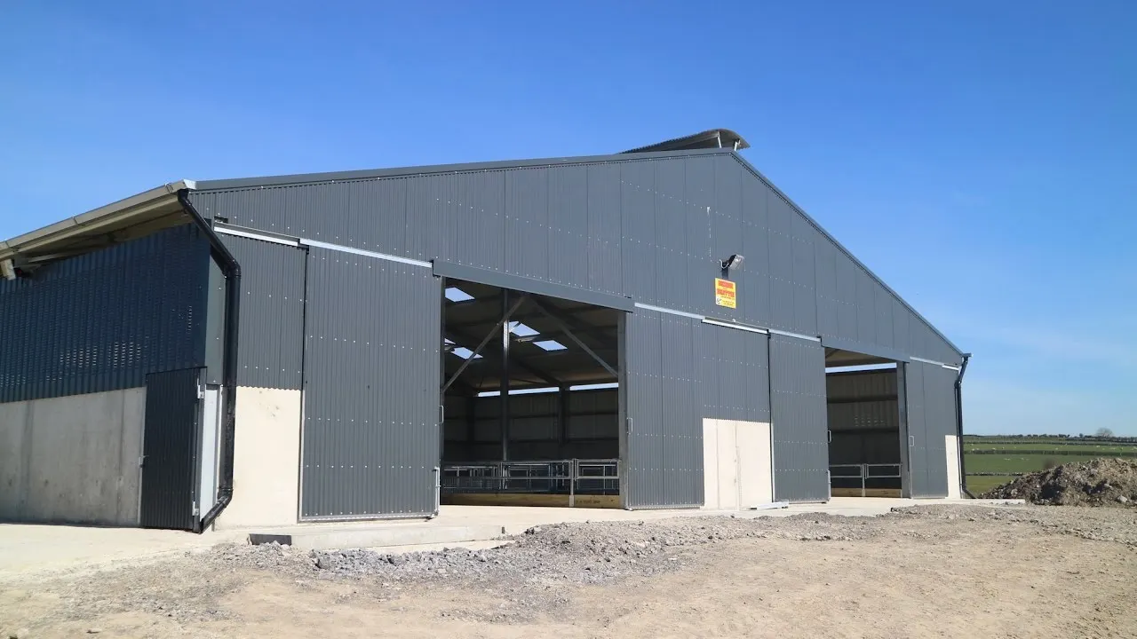 Low price project Long Span Structure Cow shed Prefab Steel Structure/ Dairy Cow Shed Farm Steel Structure