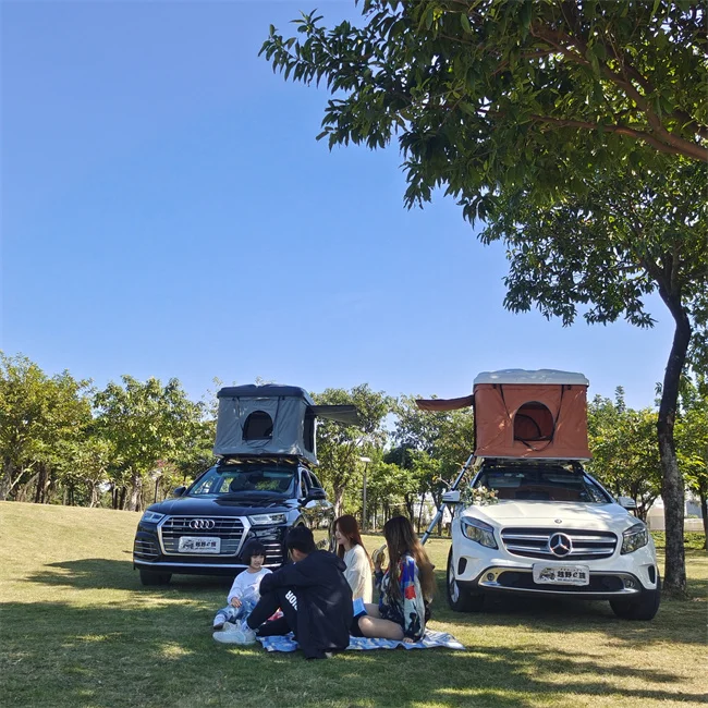 Hot Sale Outdoor Camping Car Roof Top Tent Hard Shell