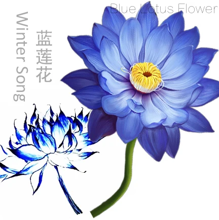 
Natural Base Planting Pesticide Free Chinese Herb Dried Blue Lotus Flower Lan Lianhua 