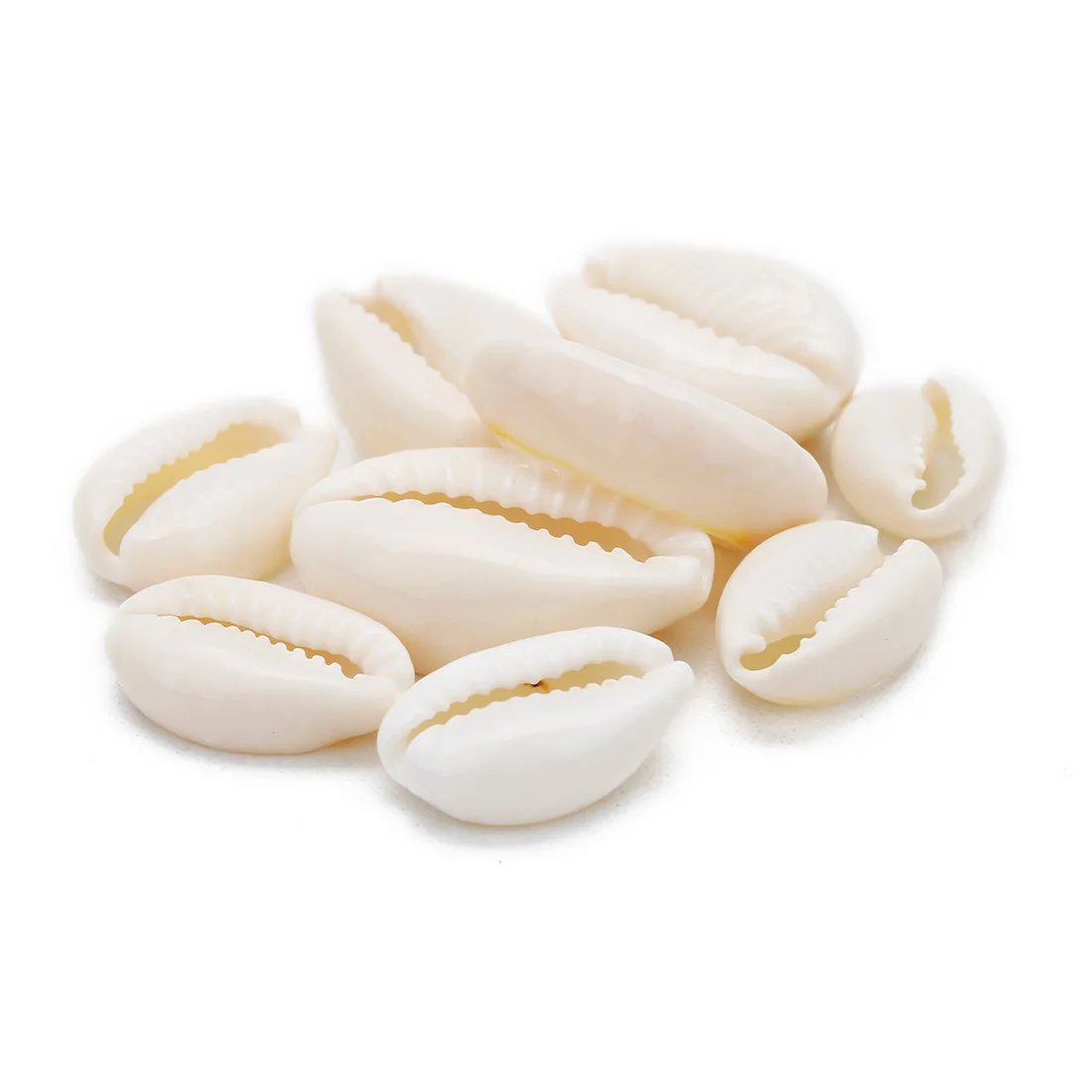 20Pcs White Sea Shell Beads For Jewelry Making Cowrie Cowry Charm Beads DIY Necklace Bracelet Accessories wholesale