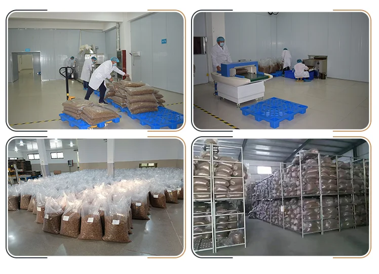 Best quality larvae black soldier fly larvae for fish bird snack food