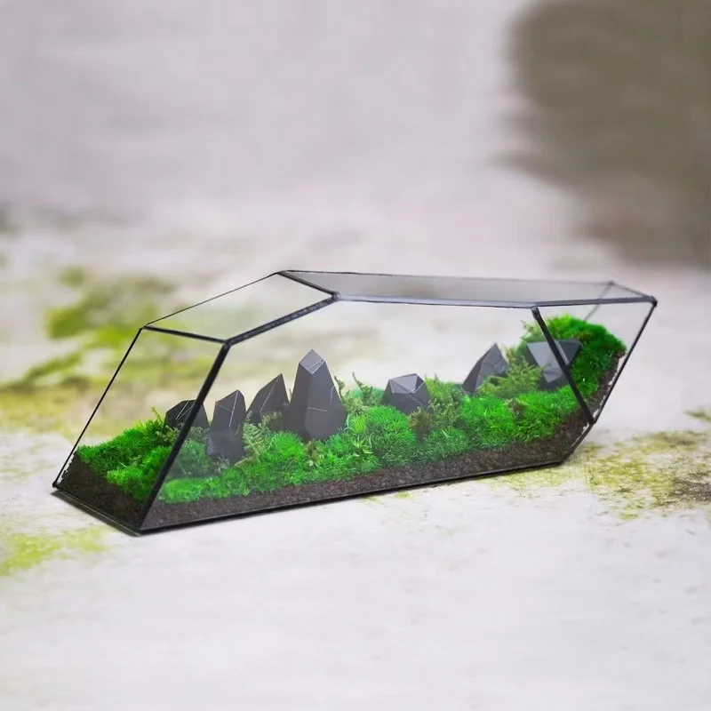 Geometric Glass Terrarium and Glass Cube Hanging Terrarium