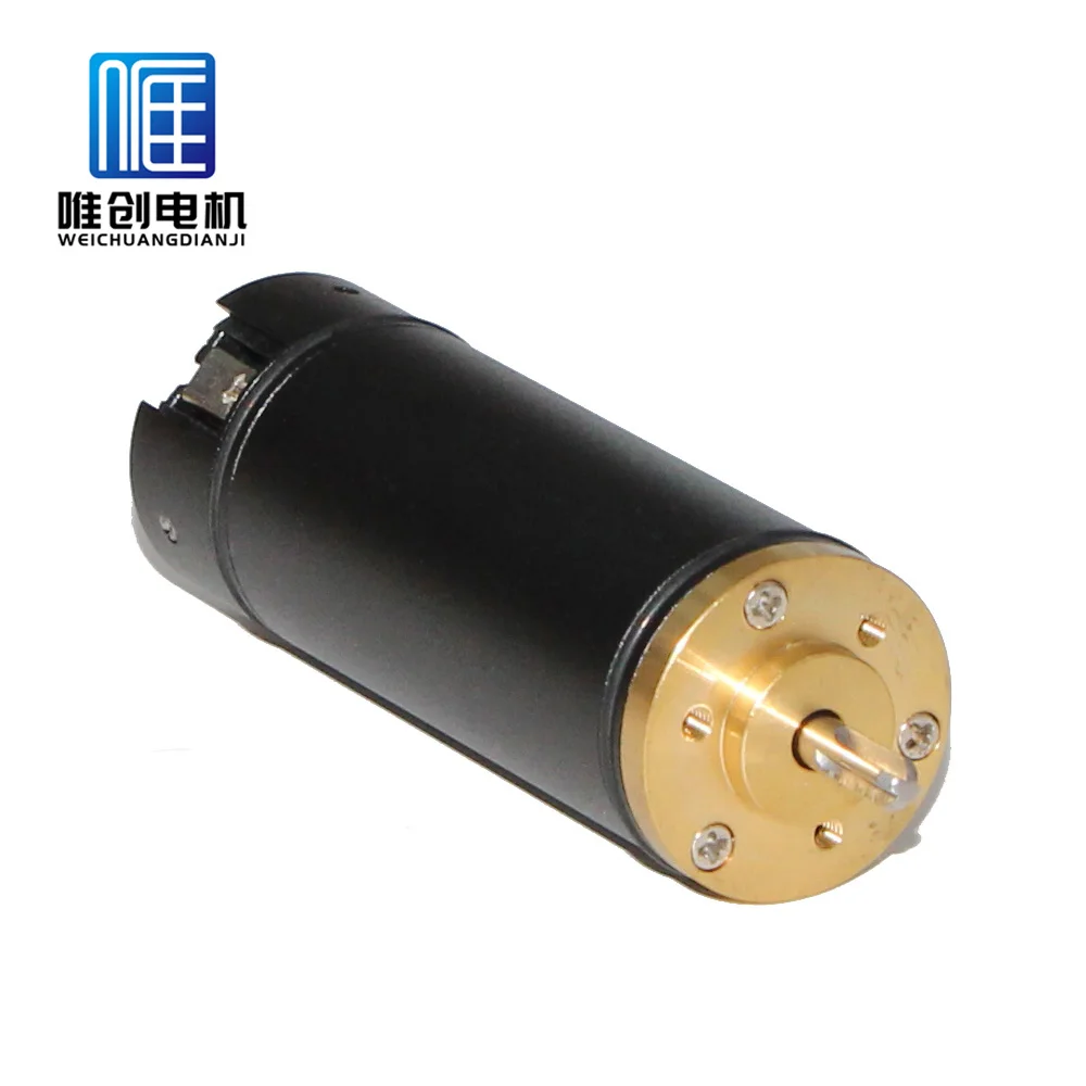 Micro slotless high speed brushless dc motor