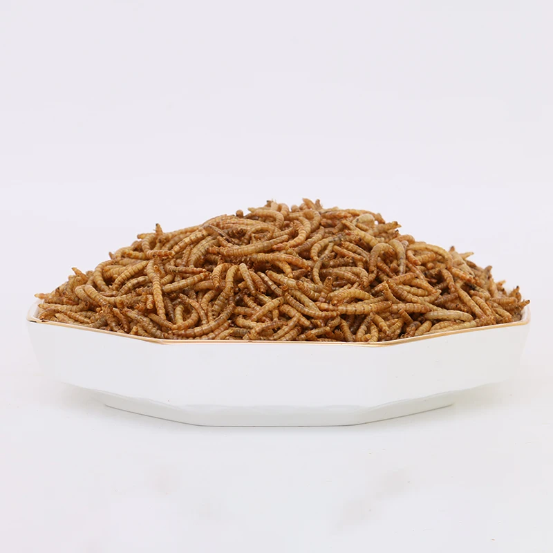 Wholesale export-grade bird food hamster edible yellow mealworm dried mealworm