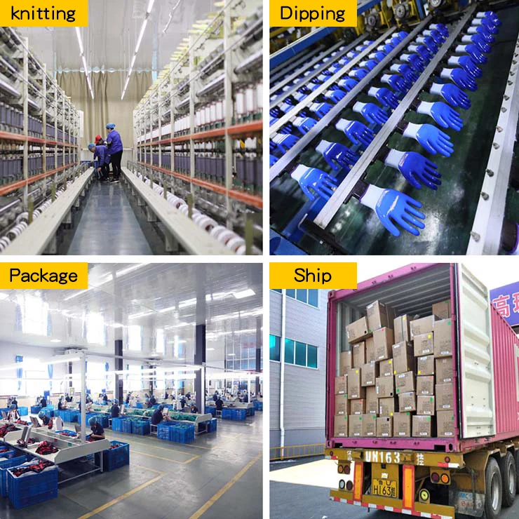 Xingyu Disposable Nitrile Gloves Exam Medical Examination Glove Free Powder