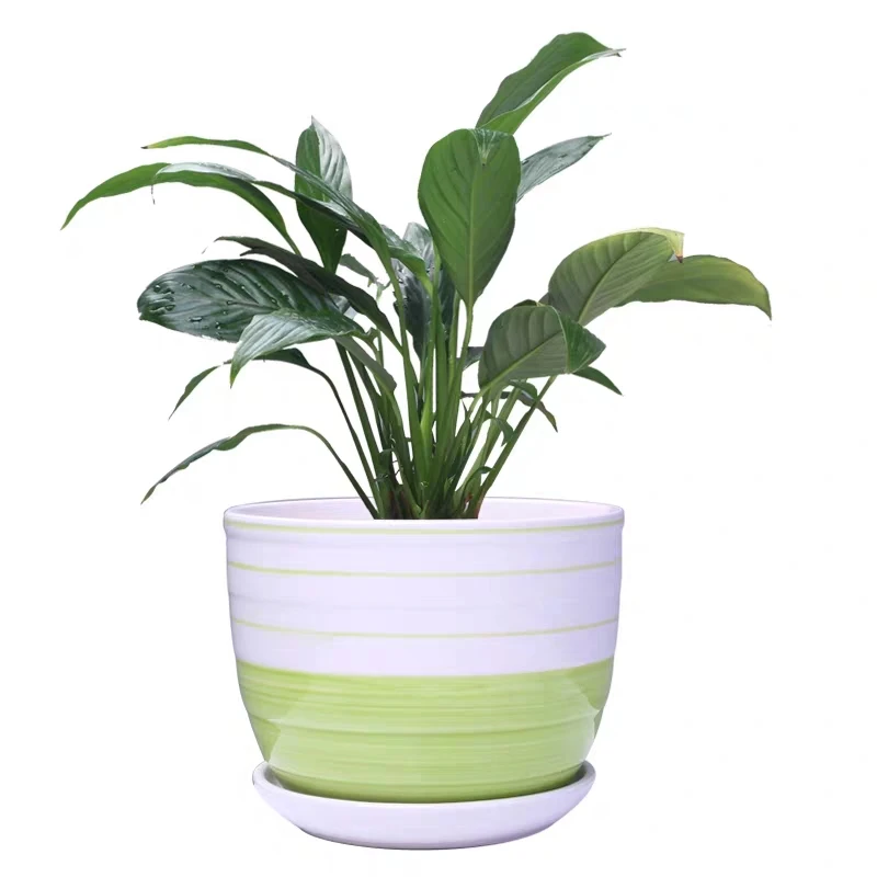 
Flowerpot ceramic creative personality largeCustomized Chinese manufacturers 