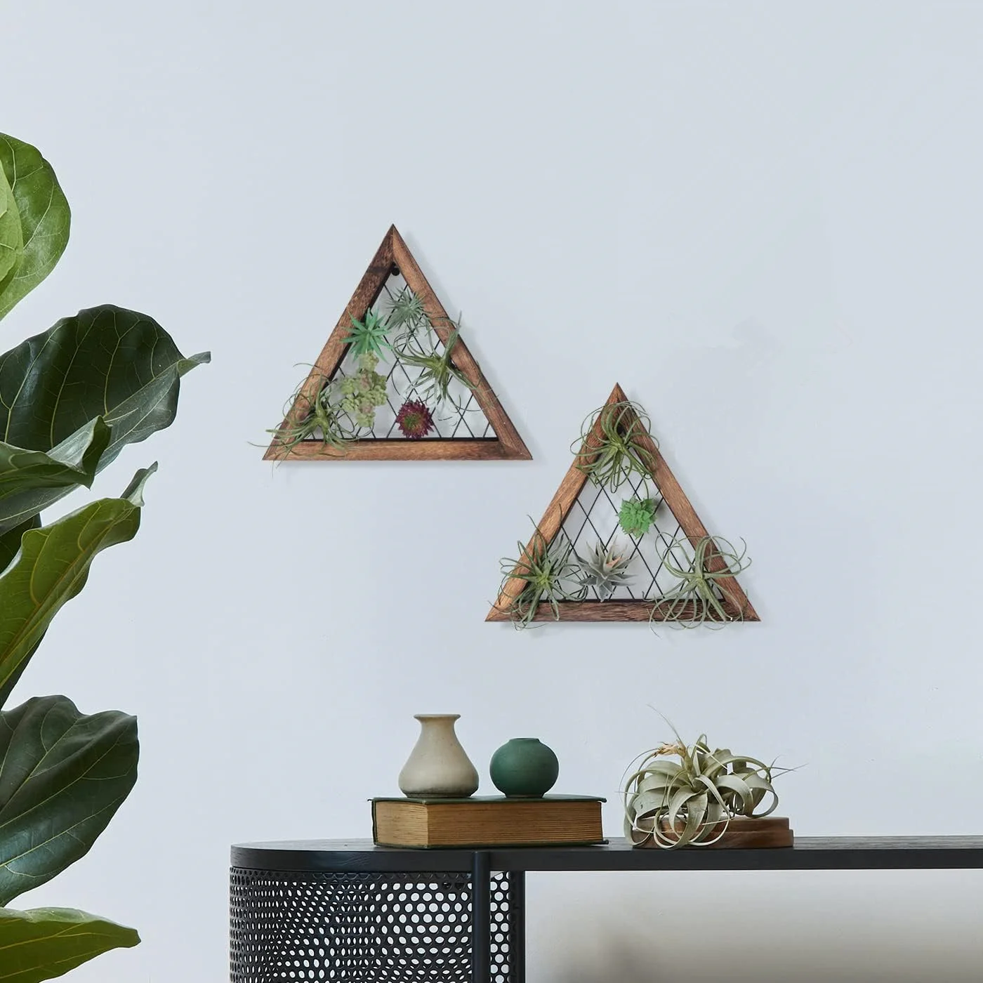 Triangle Rustic Wooden Air Plant Frame With Wire Web for Tillandsia, Succulent, Ornamental Display Stand