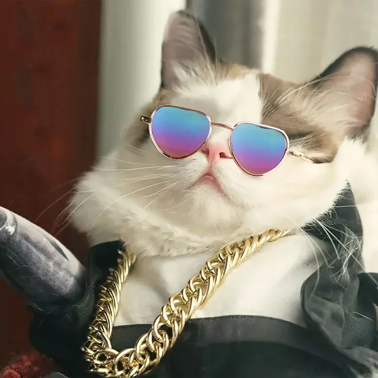 Pet Photo Accessories Wholesale Super Cool Prop Cat Dog Glasses