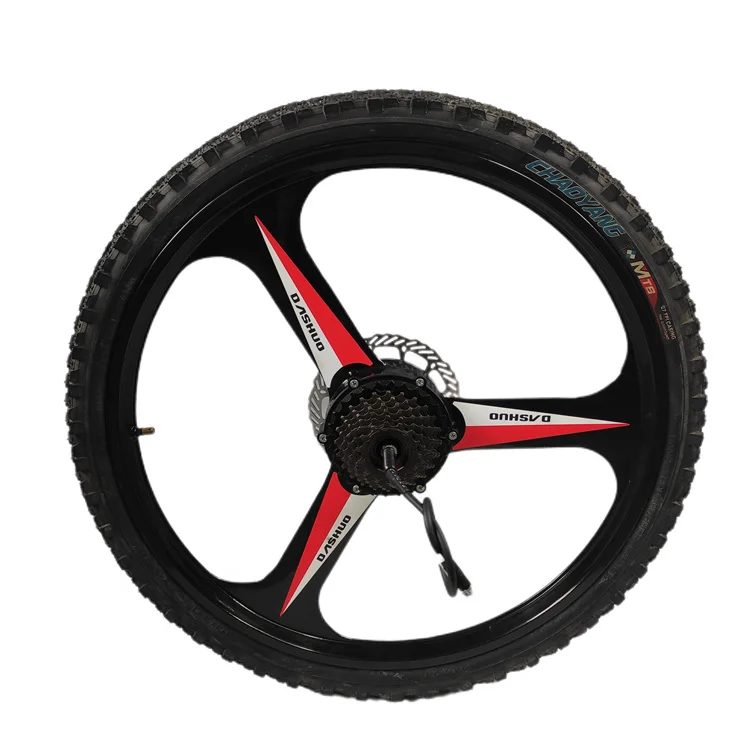 DGWZ 24 inch  24v36V48V 350W dc brushless gear magnesium alloy hub motor electric bicycle hub motor with tire
