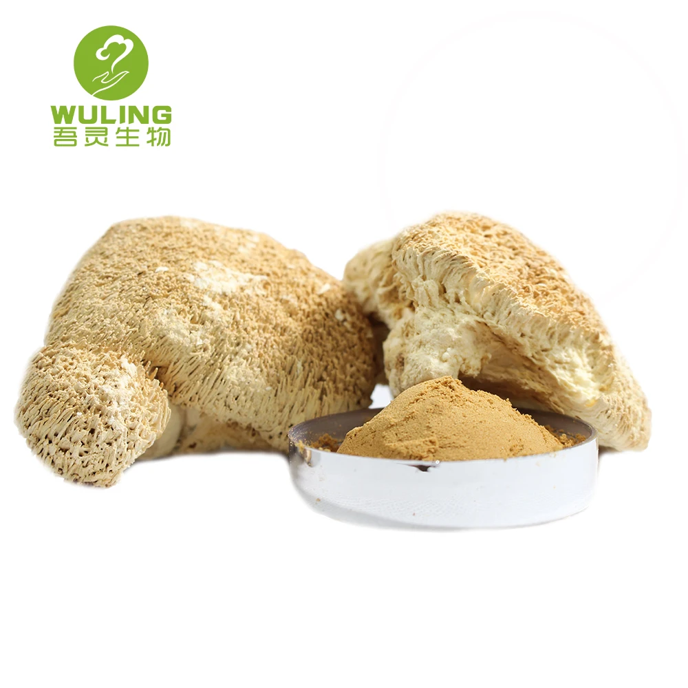 Травяные добавки, экстракт грибов Львиной гривы, порошок, Органическая жидкость грибов Львиной гривы