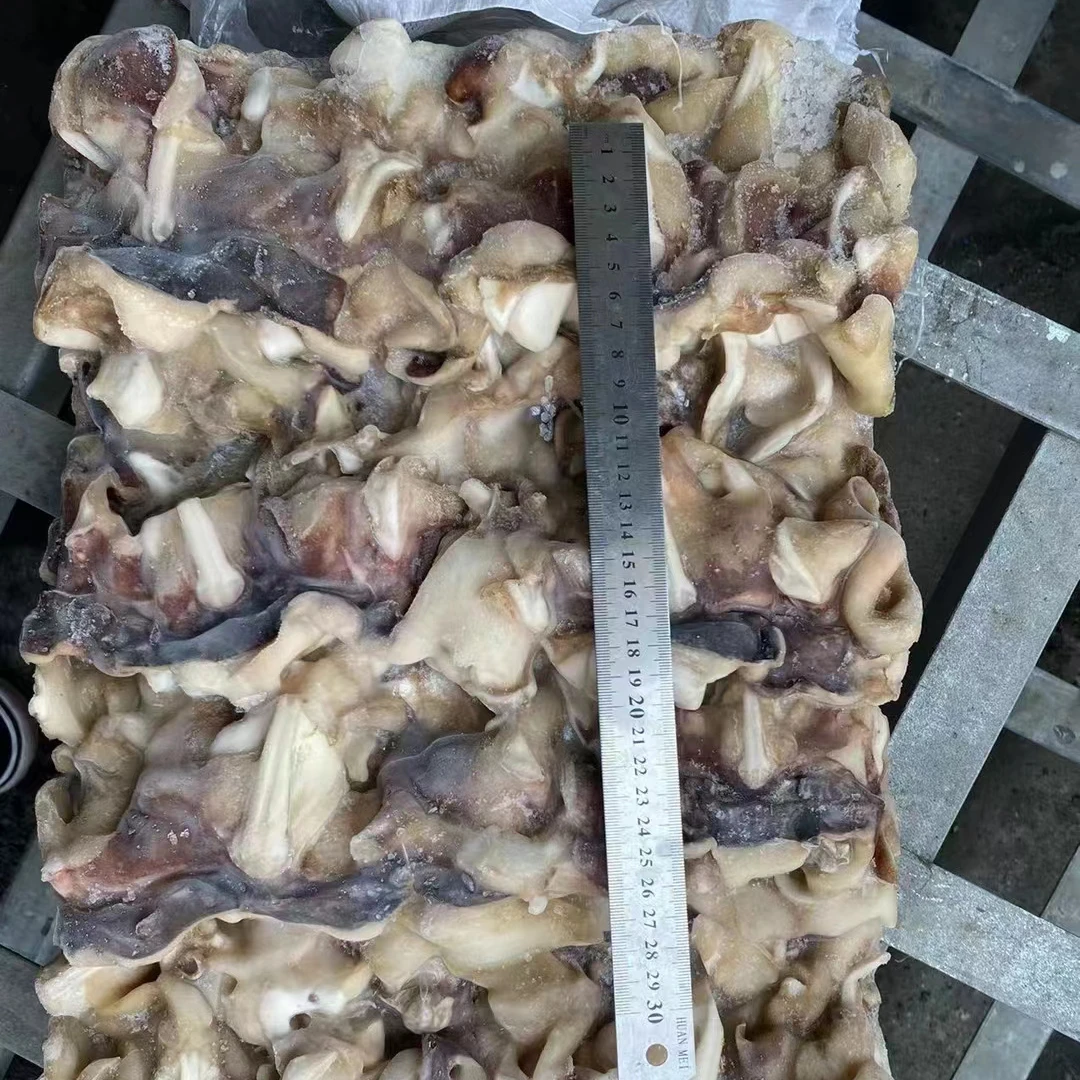 Шейка с индийским кальмаром 100-300 г, шейка с замороженным гигантским кальмаром