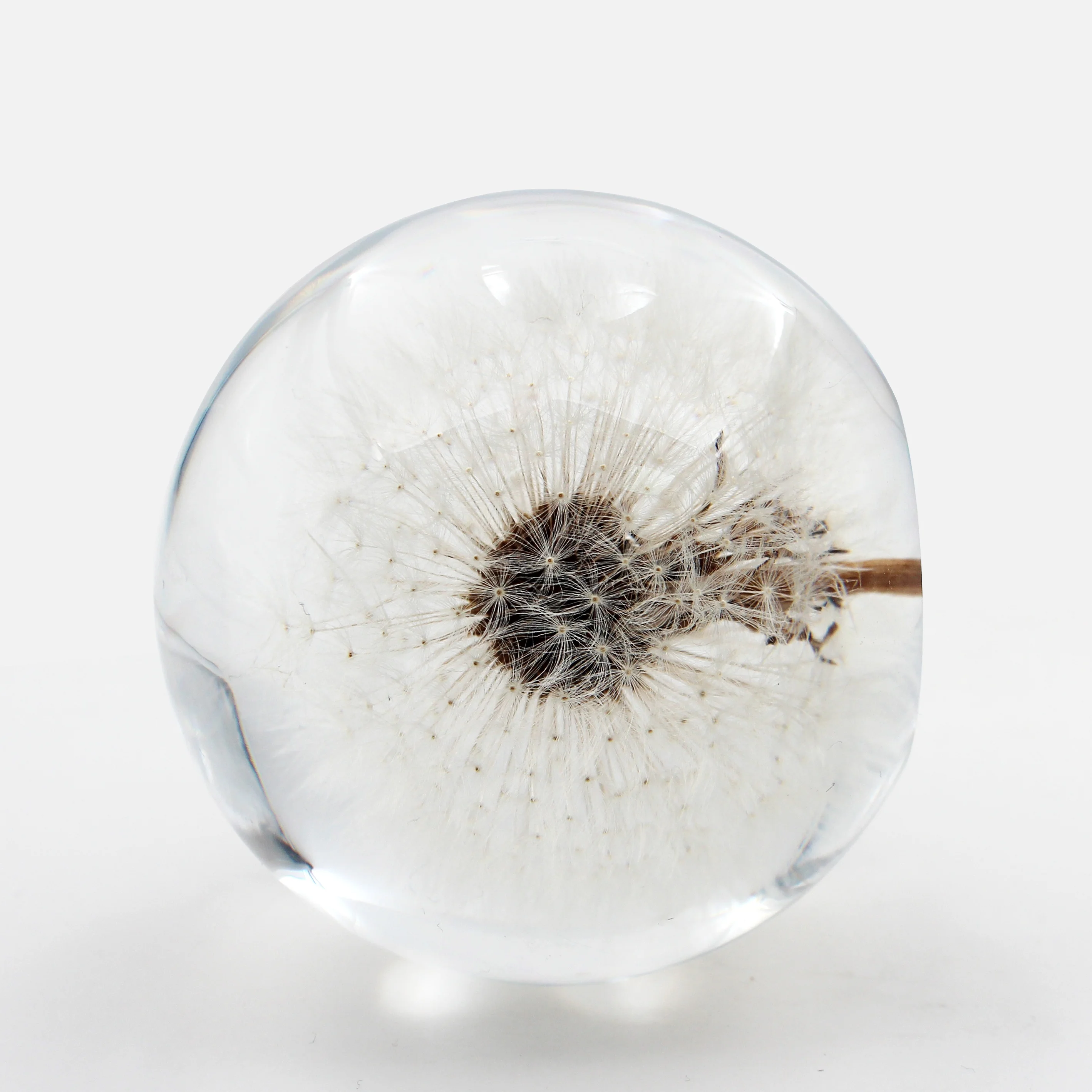 Sphere Ball Dandelion Paperweight dia 8.0cm with Flat Bottom