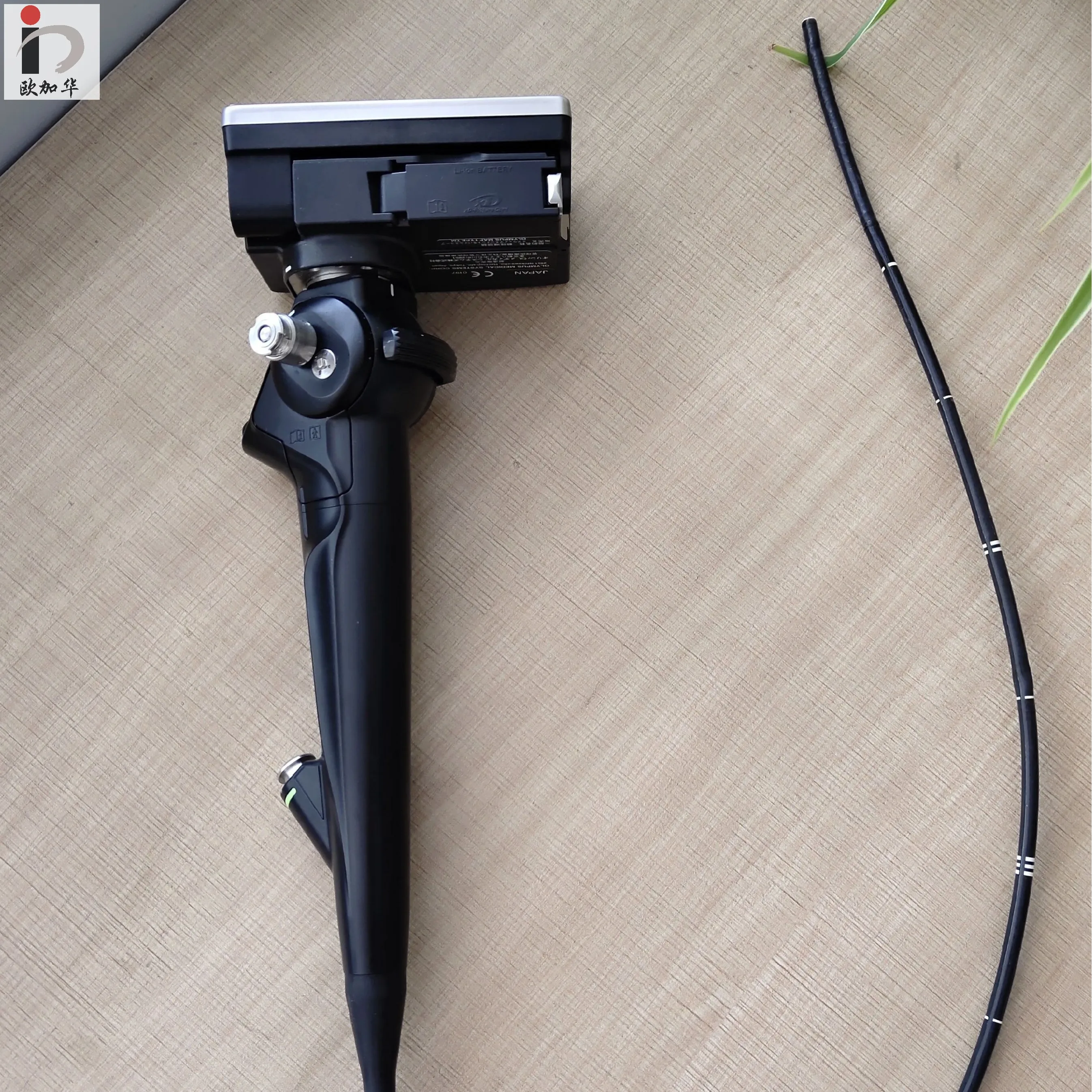 
Portable Flexible Endoscope With TF Record Card And 3.5 Inch Screen For ENT And Bronchoscopy 