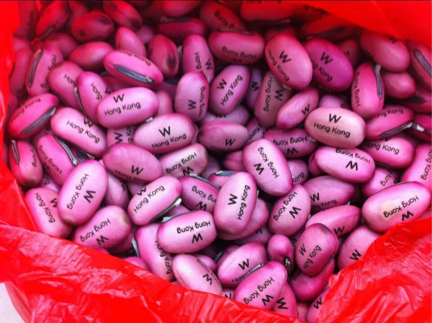 Office Green Landscape Planting Magic Beans