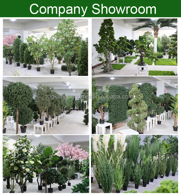 showroom