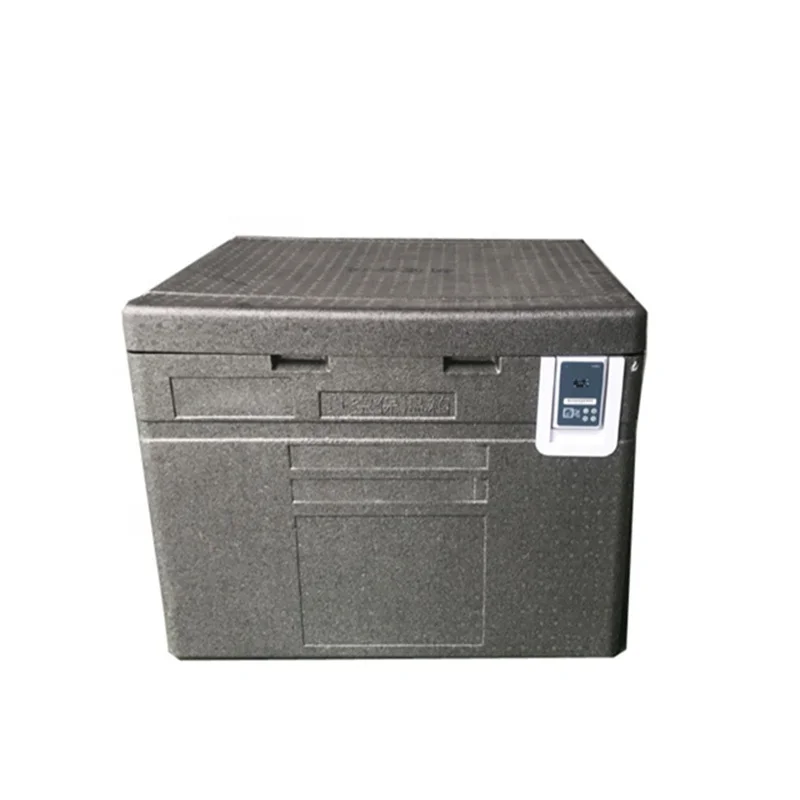 EPP Factory Price Large Volume Insulated Cooler Box for Food Cold Storage and Transportation