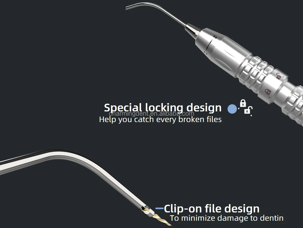 DETAILS 2.png