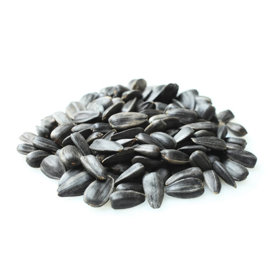 Wholesale price  Premium Quality Organic Bulk Large Sunflower Kernels Seeds