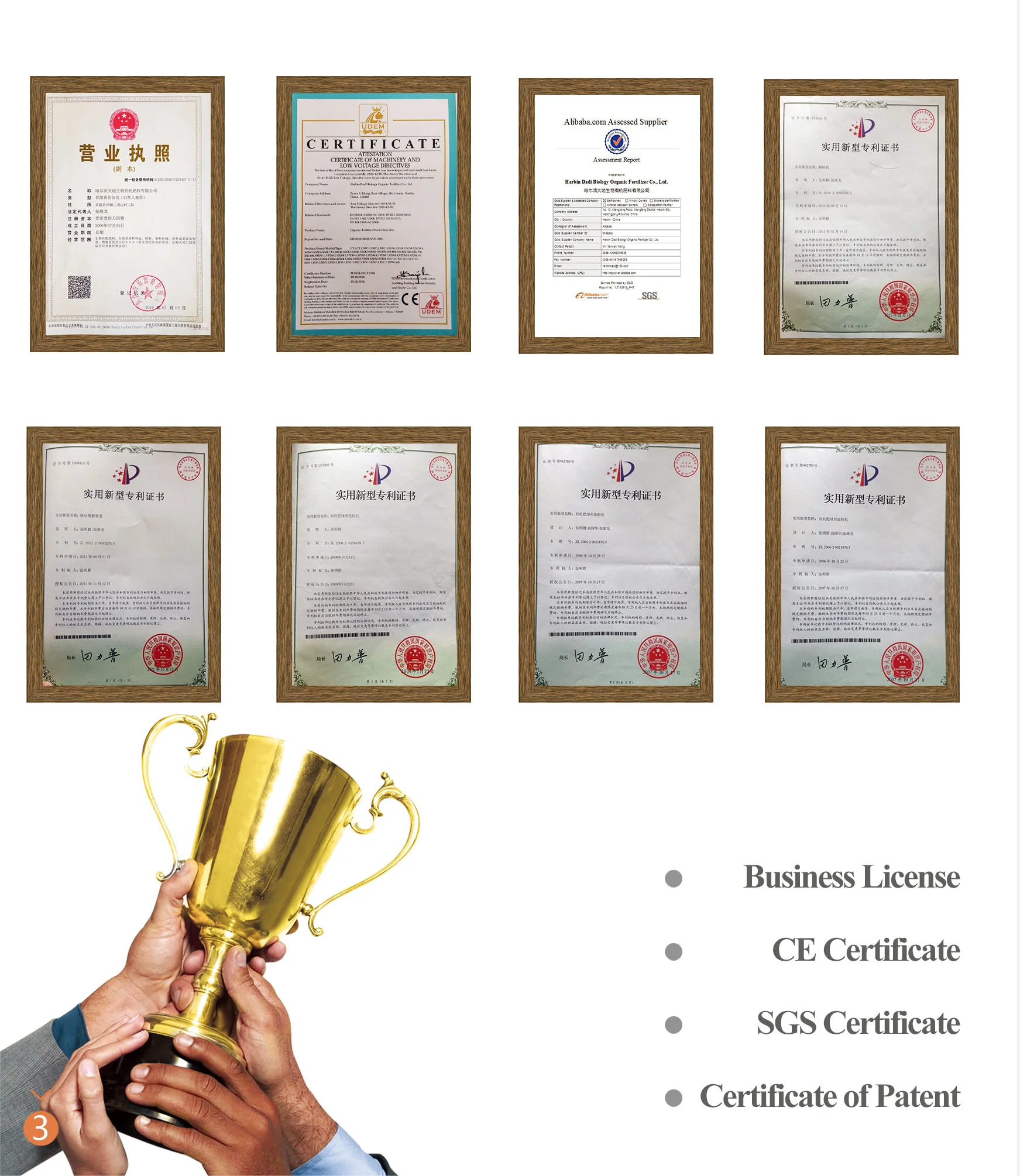 Organic Fertilizer Pellet Making Machine 