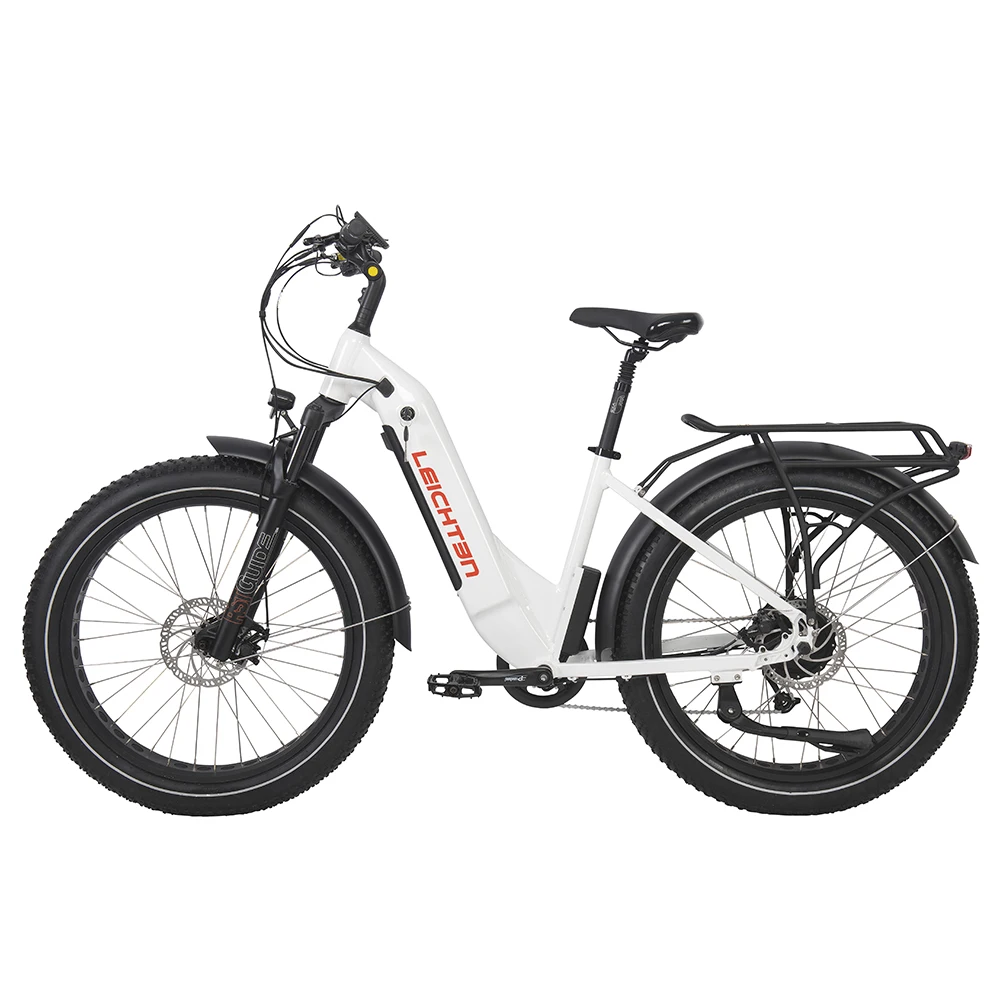 Power torque e-bike electric mountain bike new model electric bicycle alloy aluminum frame fat tire snow MTB ebike