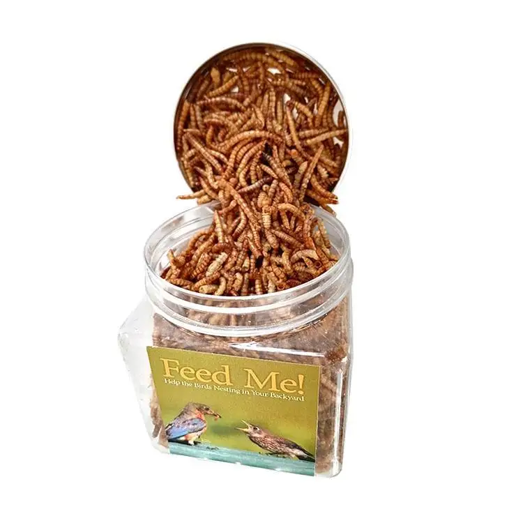 Dried Mealworms High Protein Customised Birds Food for Fishes Reptiles in Bags 100g Factory Directly Supply