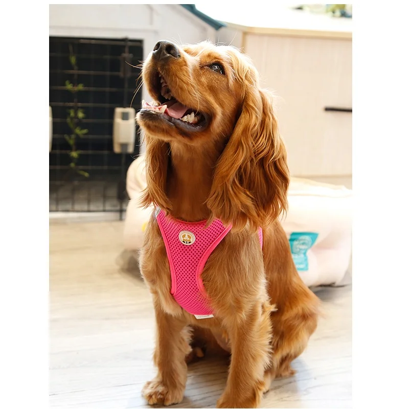 Custom Logo Dog Harness Nylon Recycled Breakaway Curved Plastic Colored Quick Side Release Buckle Dog Harness