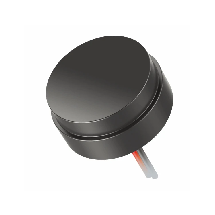 Ultrasonic Transducer 1MHz Ultrasonic Flow Sensor with Plastic Housing water meter flowrate piezo sensor