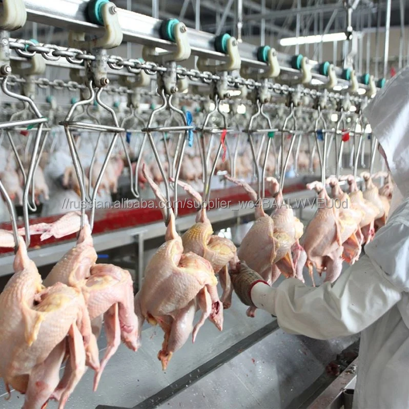 5000BPH Processing Production Turkey Poultry Slaughter Chain Line