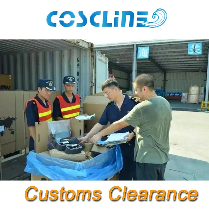 Excellent professional import/export freight forwarder largest customs clearance services from China