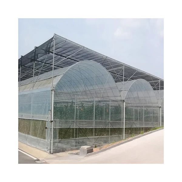 Sale Multi-Span Greenhouse Hydroponic System Agricultural Film Covered for Climate Control of Tomatoes & Cucumbers Green house