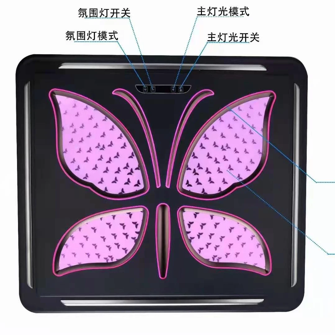 
Factory Power car Interior Electric dome light / sky light for MINIBUS LUXURY VIP CARS AND VANS 