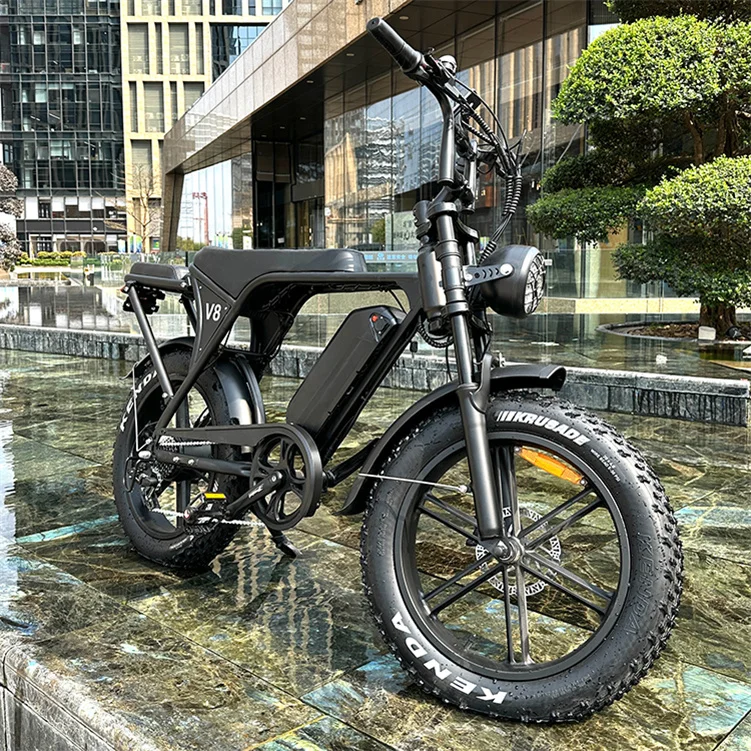 20 Inch 750w Fat Bike E-Bike Ebike V8 Fat Tyre E Bike Fatbike Electric Bike Fat Tire Wheel Bicycle