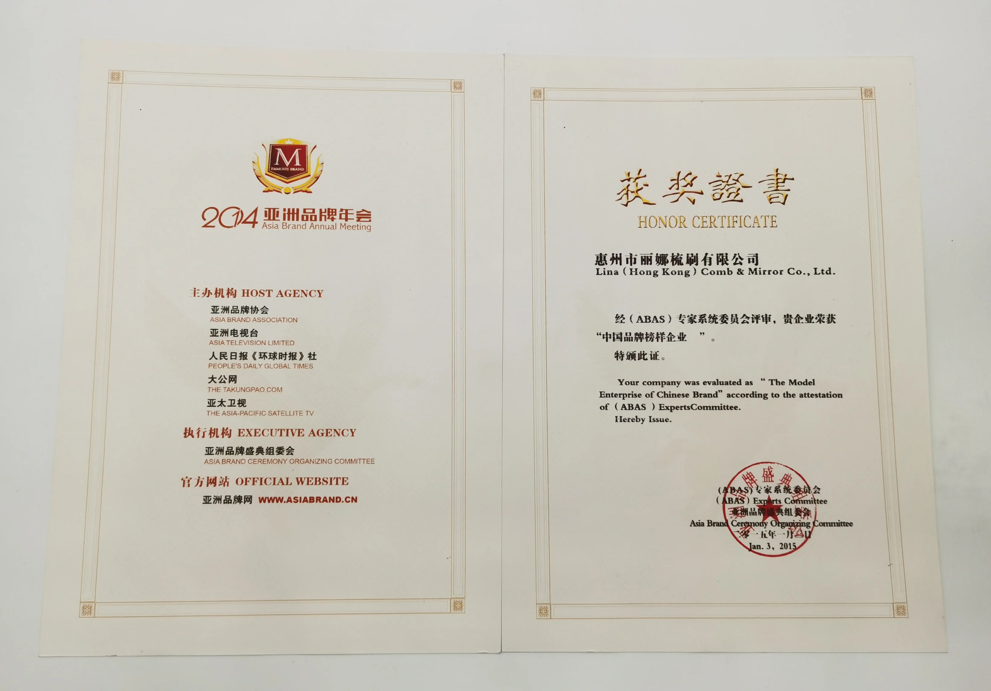 custom hair beauty plastic control comb and brush