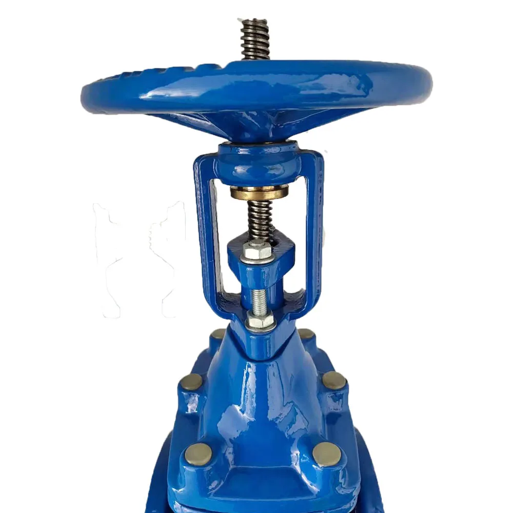 
Rising Stem Gate Valve Ductile Iron EPDM Seal 420 Stem with Low Price 