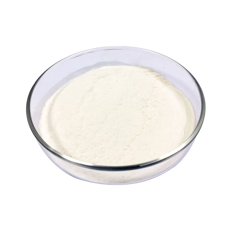 High Quality Food Grade Nano Caco3 Calcium Carbonate Powder For Food Preservative