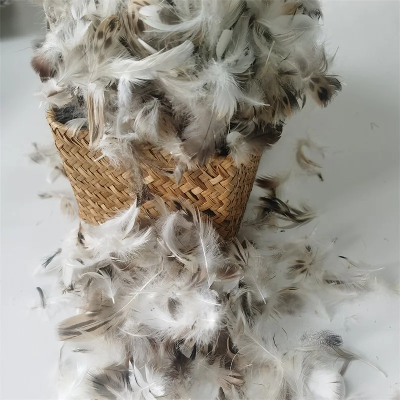 Wholesale Washed High Filling Natural Raw Goose/Duck Pure Feather Fiber Down for Pillow Duvet Use